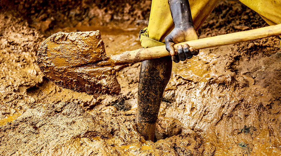 Protecting Forests, Futures Our Environmental Mission